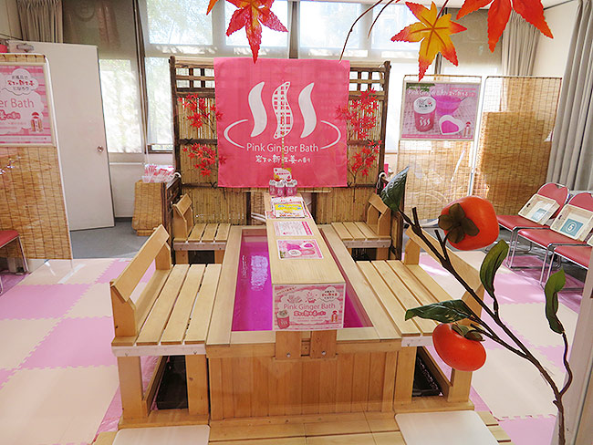 【栃木市】「新生姜ミュージアムの日」（＆ピンクの足湯）イベントに行ってきた。 - クラーケンハック