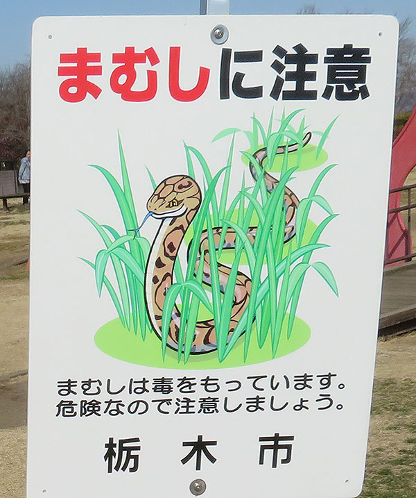 永野川緑地公園　まむしに注意3